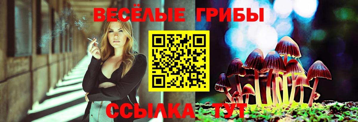 Галлюциногенные грибы мухоморы Торжок