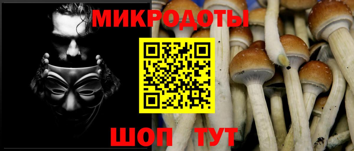 Галлюциногенные грибы прущие грибы  Галлюциногенные грибы Cubensis  Торжок  Вход с VPN 